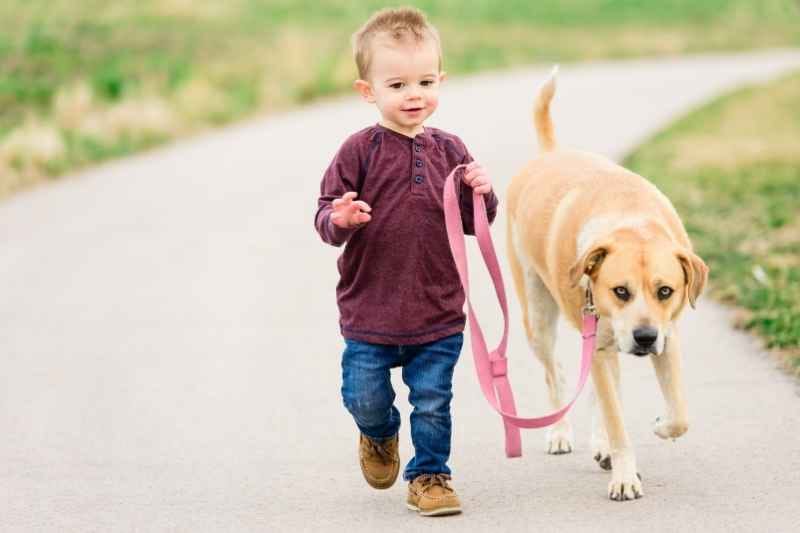 Toddler imitating animal movements while walking and crawling outdoors, enjoying playful and active toddler outdoor activities.