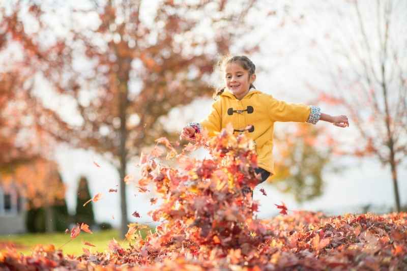 Toddler jumping into a colorful pile of leaves outdoors, enjoying playful and energetic toddler outdoor activities.