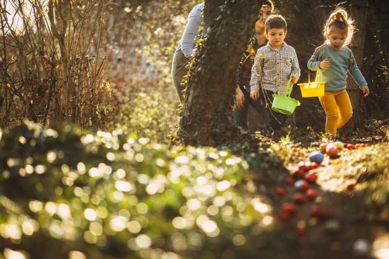 Curious toddlers exploring outdoors during a nature scavenger hunt, picking up leaves and pinecones, enjoying fresh air and outdoor play.