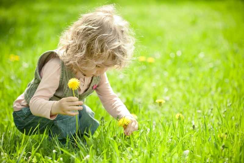 Toddler picking colorful flowers outdoors, exploring nature and improving fine and gross motor skills through fun toddler outdoor activities.